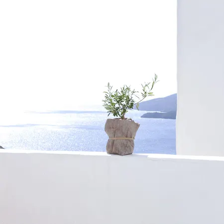 Pylaia Boutique & 4* Astypálaia